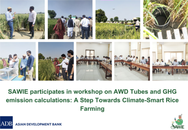 SAWIE participates in workshop on AWD Tubes and GHG emission calculations: A Step Towards Climate-Smart Rice Farming